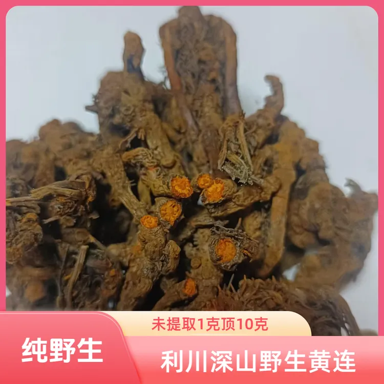 恩施黄连利川黄连高山黄连正宗正品干货