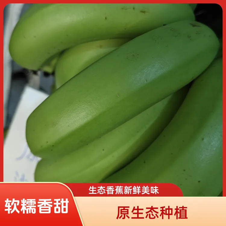 云南巧家高山自然熟无药无催熟剂绿色原生态香蕉软糯香甜新鲜水果