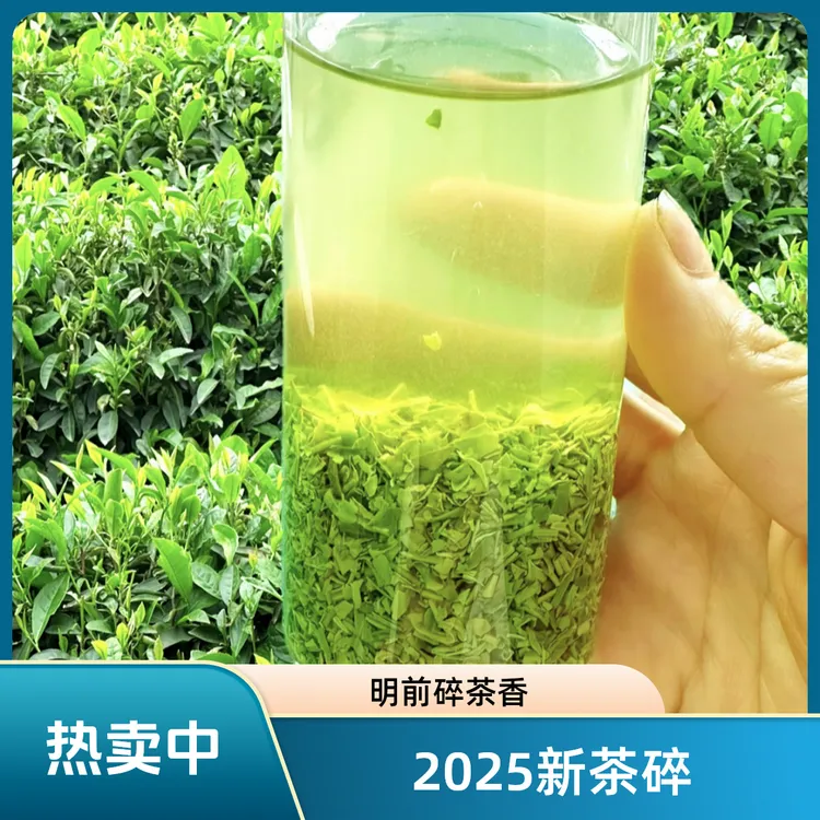 2025年新茶明前芽叶碎茶沫浓香耐泡一斤