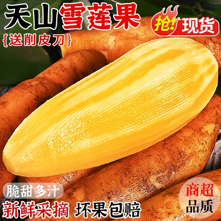 云南正宗天山雪莲果大果5斤装现摘现发脆甜多汁