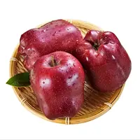 绿农嘉甘肃天水花牛苹果6粒装粉面香甜宝宝辅食A