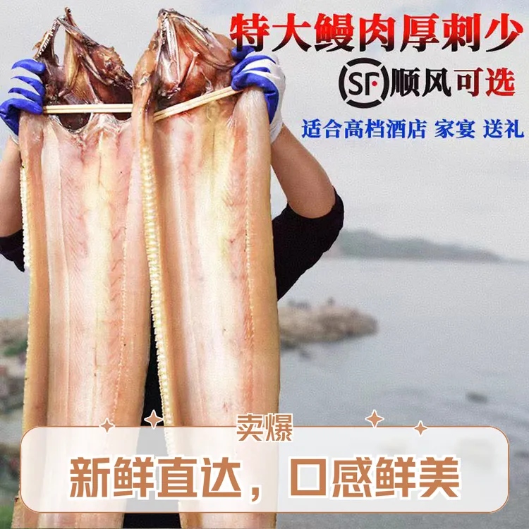 特大海鳗干淡晒整条鳗鱼干舟山特产鳗鱼鲞半干湿东海本地风鳗