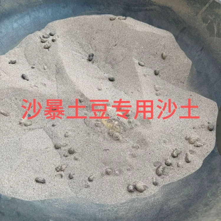 沙暴土豆专用沙土 黄河沙土