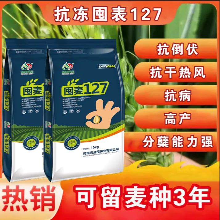 囤麦127【英】高产小麦正品保真