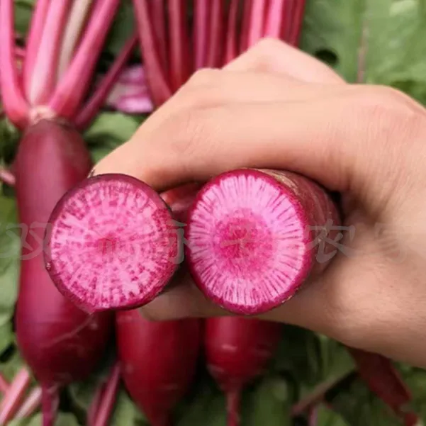 四川南充农家红皮红心萝卜新鲜心里美萝卜蔬菜胭脂泡菜丑萝卜