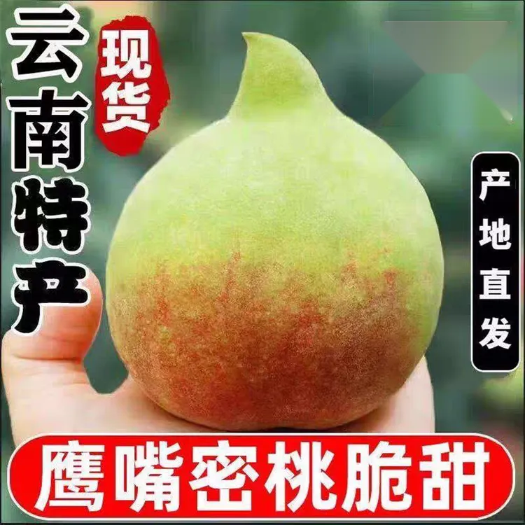 正宗云南鹰嘴桃新鲜当季现摘水蜜桃甜脆多汁孕妇水果现摘现发包邮