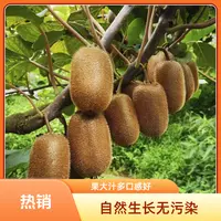 瀑乡妹贵州修文猕猴桃贵长猕猴桃新鲜当季绿心奇异果香甜多汁维C