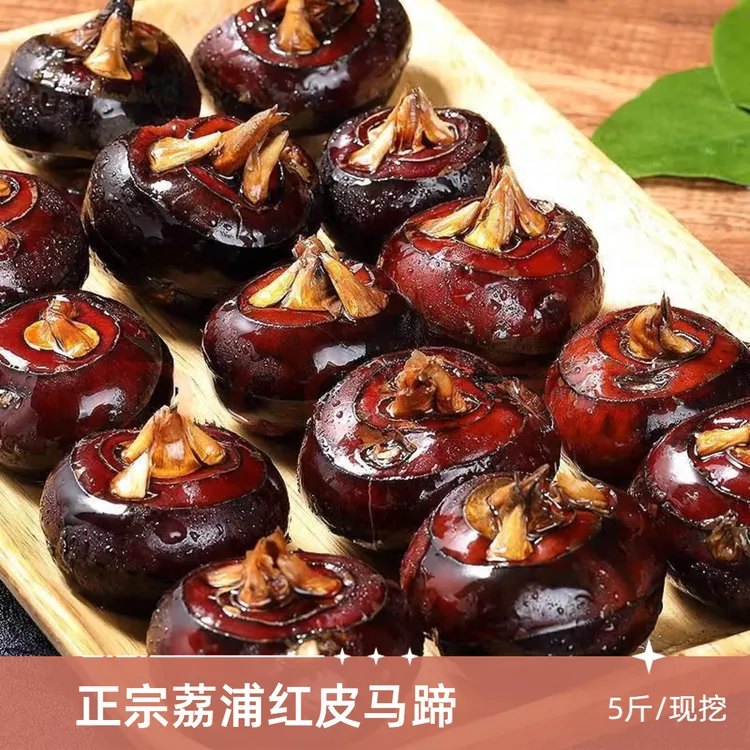 一整箱｜5斤正宗广西红皮马蹄水果荸荠新鲜大果清甜多汁核心产区