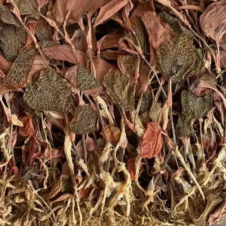 【严选好物】金线莲 清润回甘 天然原生 zz