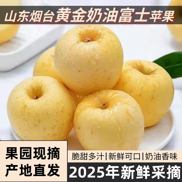 【黄金奶油富士苹果】山东烟台原产地直发整箱新鲜应季脆甜纯甜
