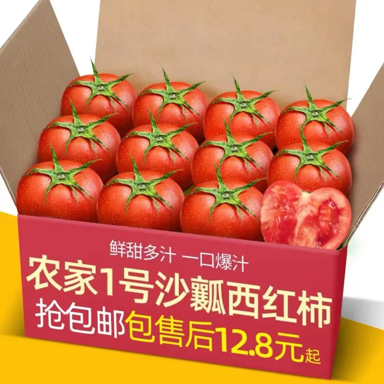 【坏果包赔】沙瓤西红柿自然熟新鲜采摘产地直发酸甜多汁露天老番茄
