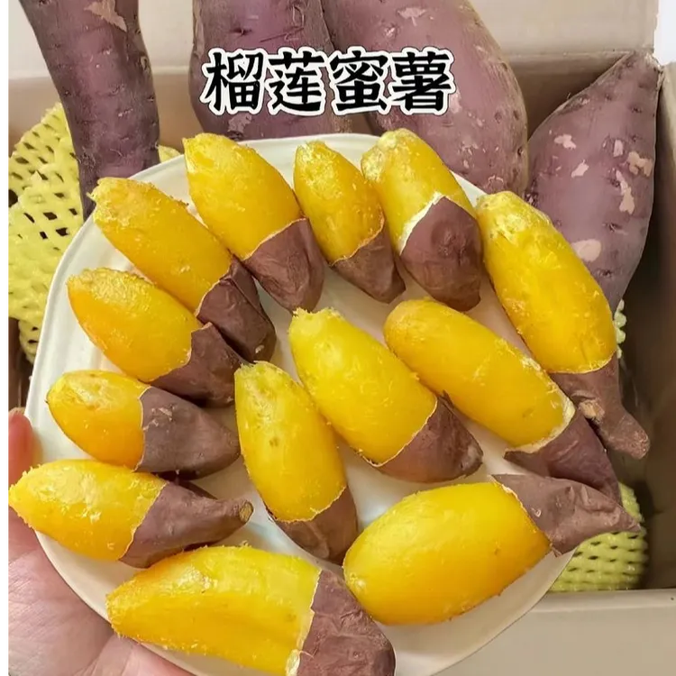 榴莲蜜薯  高端红薯