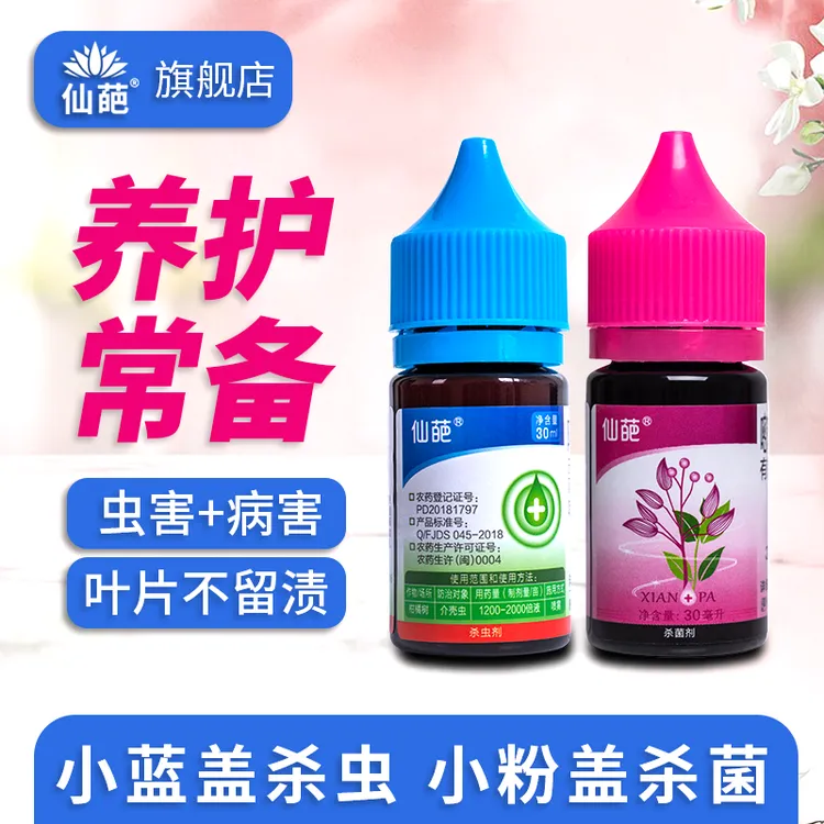 仙葩小蓝盖小粉盖病虫害防治白粉病炭疽黑斑蚧壳虫绿植兑水喷施