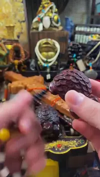 木小熊拖鞋直播精选推荐