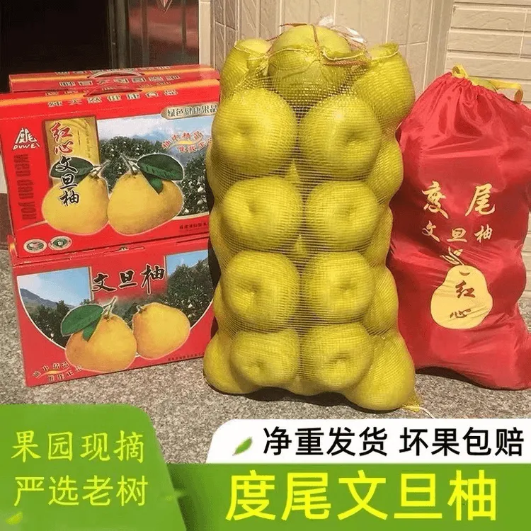 正宗度尾文旦柚子福建莆田仙游红心蜜柚孕妇新鲜水果青柚