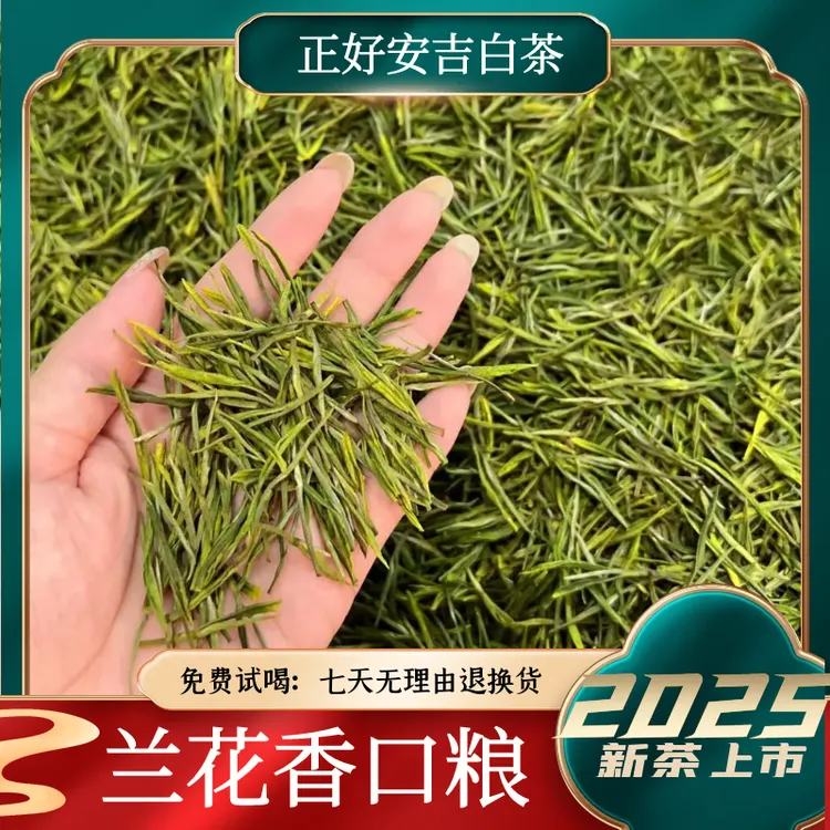 2号【兰花香口粮】2025年安吉白茶溪龙正好核心产区春季鲜爽回甘