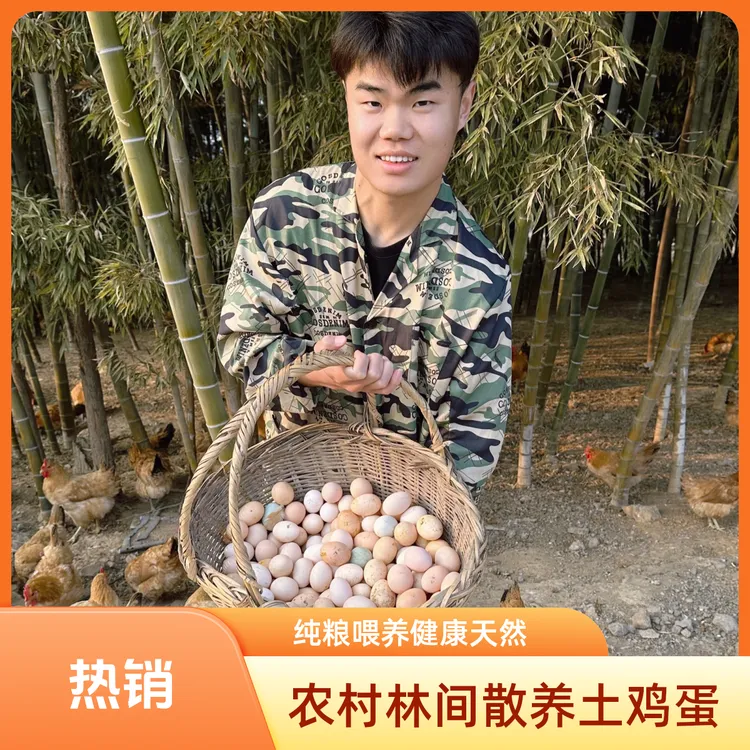 顺丰包邮｜农村林间散养天然新鲜土鸡蛋40-60枚｜纯粮喂养