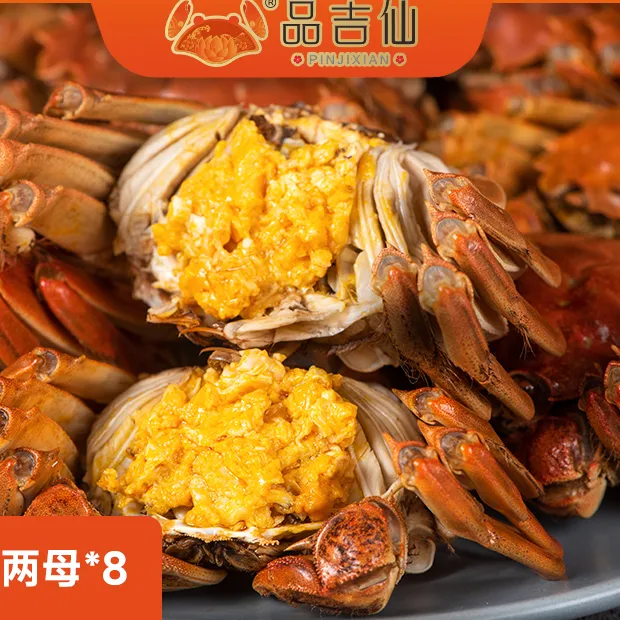 品吉仙品极鲜大闸蟹/鲜活冷链包邮/2两母蟹8只礼盒鲜活肥美