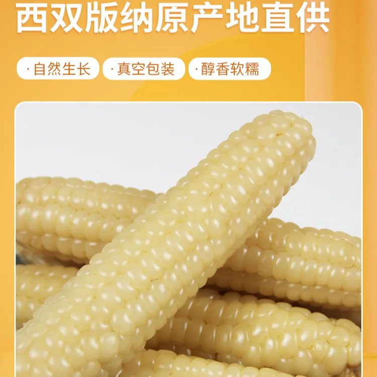 西双版纳(拇指小玉米)香甜软糯新鲜采摘——原产地直发,贵在运费