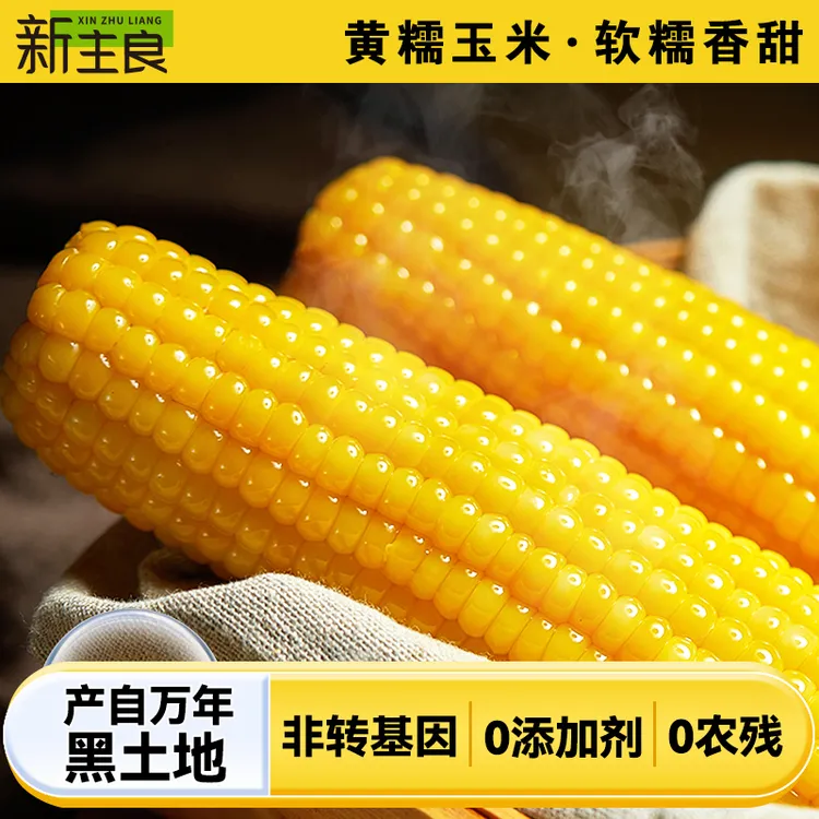 新主良头茬新黄糯玉米8支装 真空东北玉米黑土地种植200g*8穗营养
