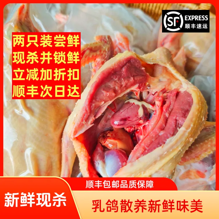 【乳鸽两只】纯五谷鸽子谷饲乳鸽爆炒烤制原汁鸽子现杀新鲜烤鸽子
