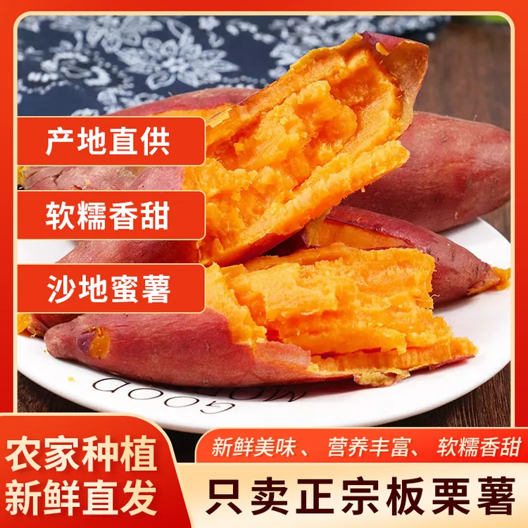 正宗板栗薯新鲜现挖粉面薯粗粮小香薯烤地瓜甜软糯红心蜜薯板栗薯