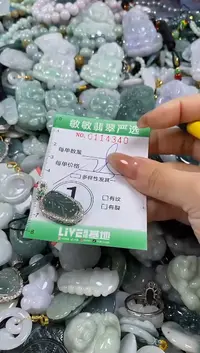 【闪购商品】翡翠颈饰未镶嵌闪购0114340多样性发其一