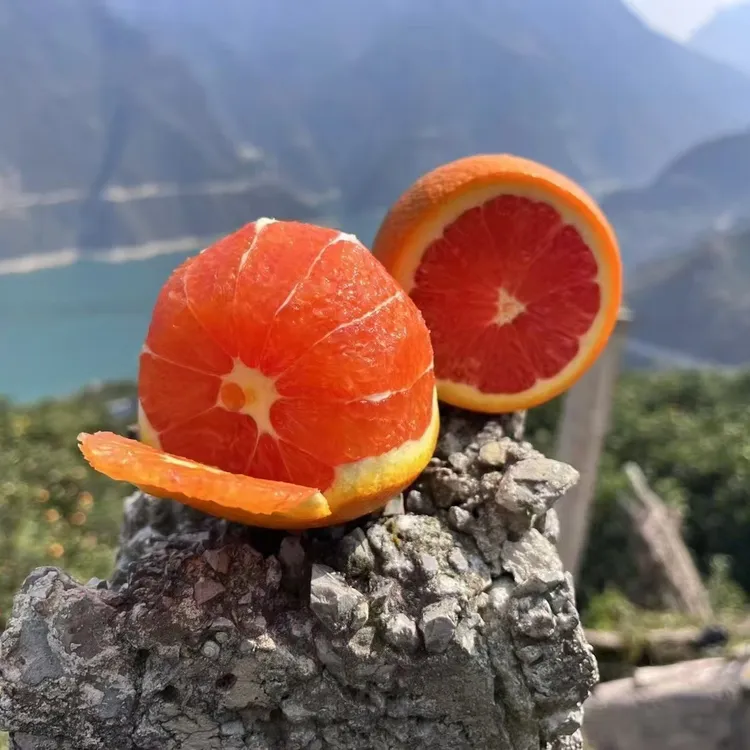JT湖北秭归中华红血橙红橙脐橙子新鲜应季水果当季现摘现发水果