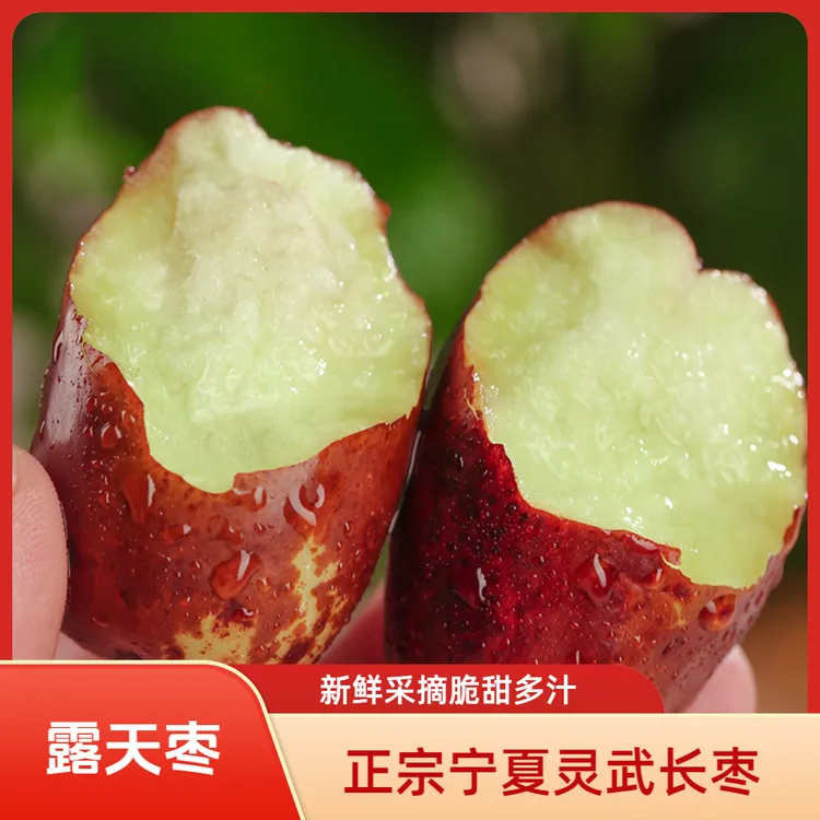【2025露天枣】正宗宁夏灵武长枣新鲜应季现摘现发皮薄肉厚脆甜多汁
