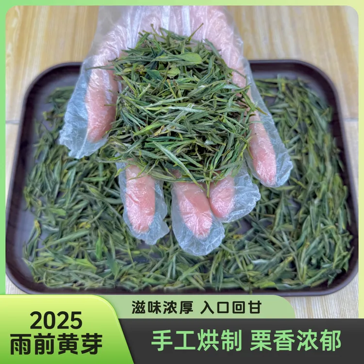 2025霍山黄芽明前手工头采嫩芽黄芽高山手工茶