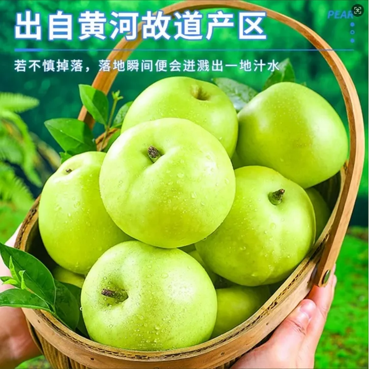 【钰姐专属】砀山酥脆一号翠冠青皮密梨脆甜多汁薄皮酥梨当季水果