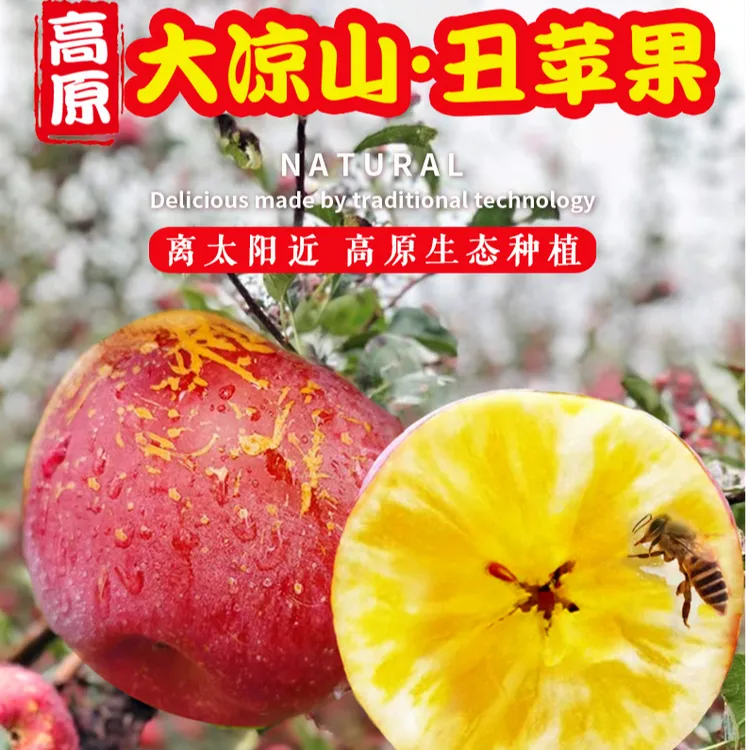 2025正宗四川大凉山晚熟丑苹果冰糖心新鲜应季当季现摘整箱水果ik