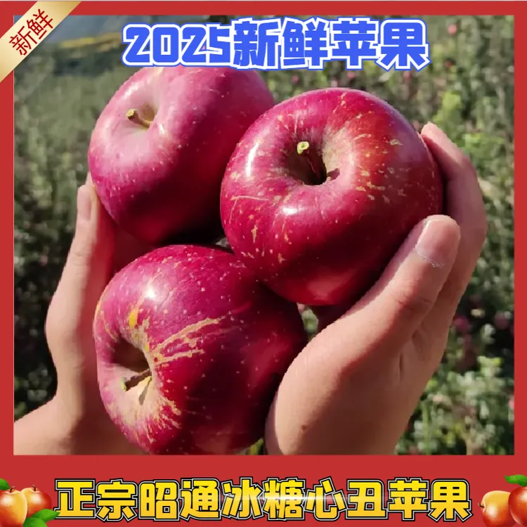 （送礼佳品）云南昭通糖心丑苹果产地现摘现发脆甜多汁