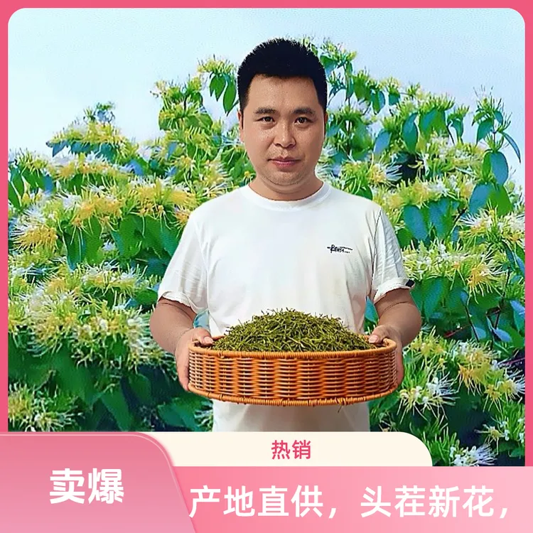 原生态金银花茶/无硫无熏/银花茶可煮水/泡茶养身茶优选