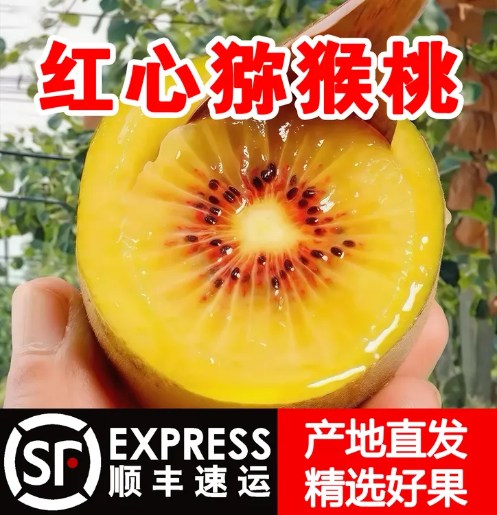 【包甜】红心猕猴桃奇异果贵州应季新鲜水果孕妇当季整箱现摘批发