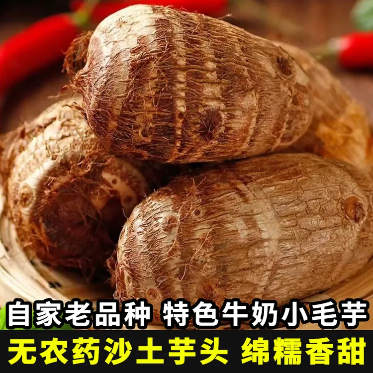 【新鲜软糯农家芋头】山东牛奶芋头奶香粉糯小芋头应季现挖毛芋头