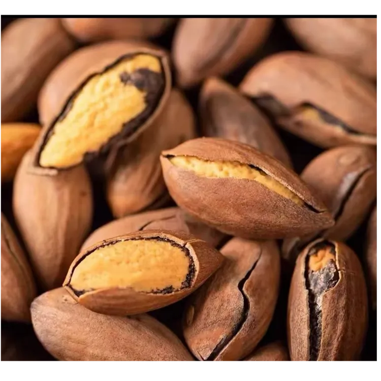 特好剥开口香榧子2024新货老树古树大香榧开口笑