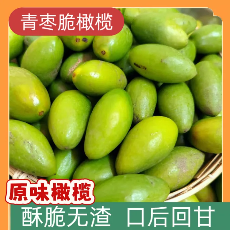 青橄榄新橄榄潮汕青橄榄新鲜采摘煲汤推荐青果酥脆特大号水果