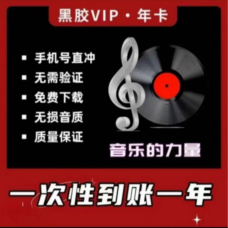 网易音乐黑胶VIP年卡12个月一次性到账，下单后联系客服充值