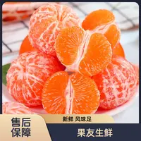 【砂糖桔】新鲜甜蜜 净果5斤/1份 太原晋中吕梁忻州拍