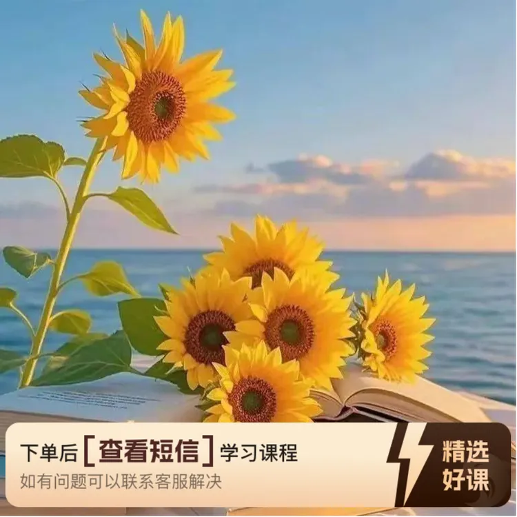 中项 系统集成全程课程（留意短信解锁课程）