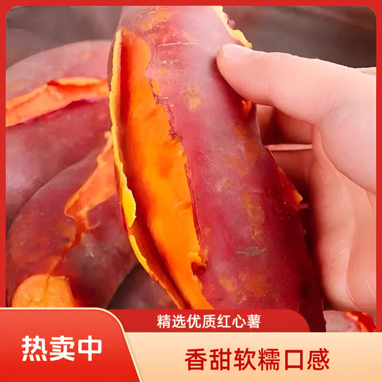 正宗沙地蜜薯农家现挖新鲜红薯香甜软糯西瓜红糖心红薯地瓜番薯