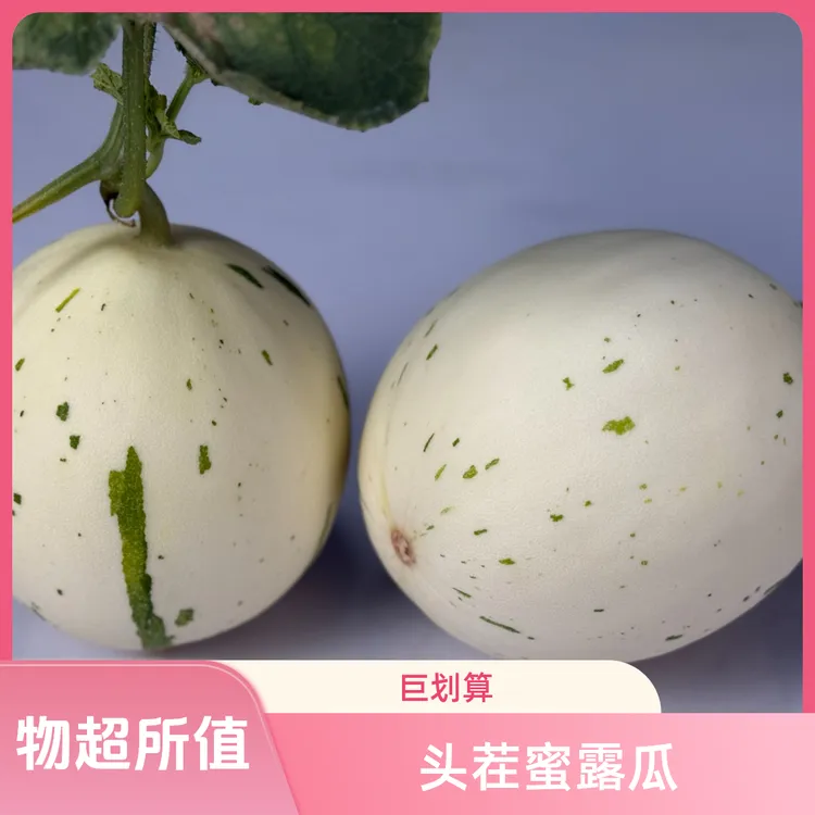 中通包邮头茬蜜露瓜4.5斤净重基地直发