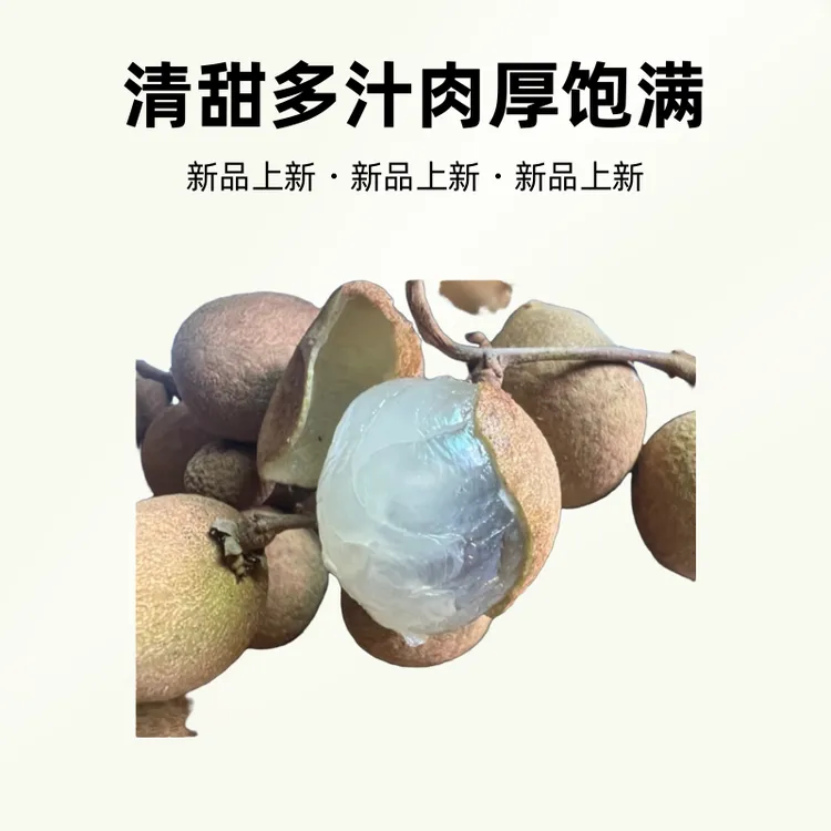 广东储良龙眼新鲜现摘现发清甜多汁肉厚饱满当季水果