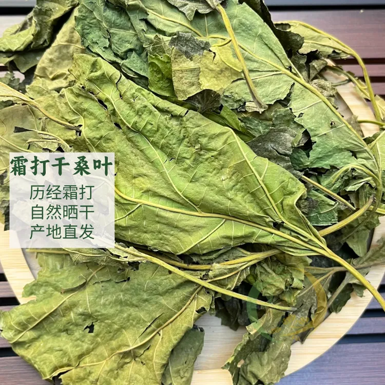 干桑叶霜打桑叶中药原材自然晒干散装