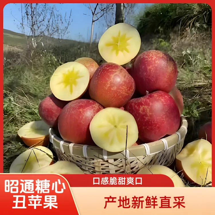 正宗云南昭通丑苹果冰糖心水果当季整箱5斤起包邮