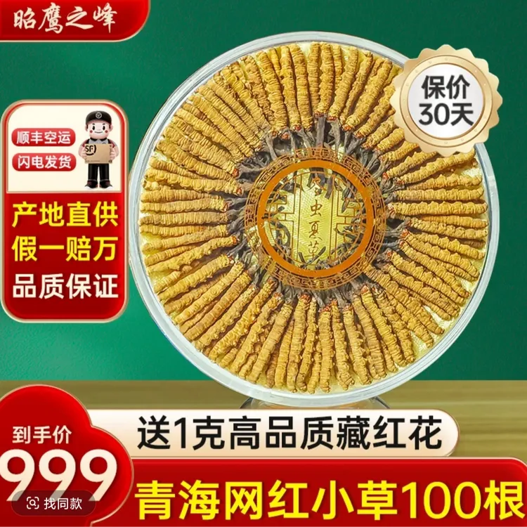 【甄选雪山品质】2025年新干冬虫夏草100根礼盒装【自用实惠】