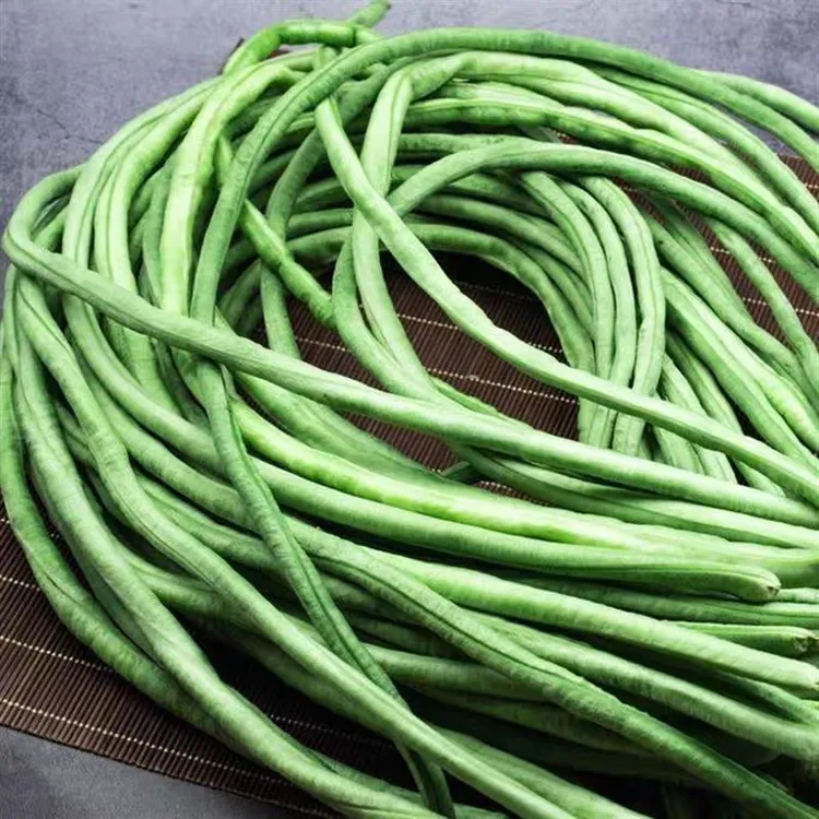 【两河】农家露天种植细嫩长豆角新鲜豇豆