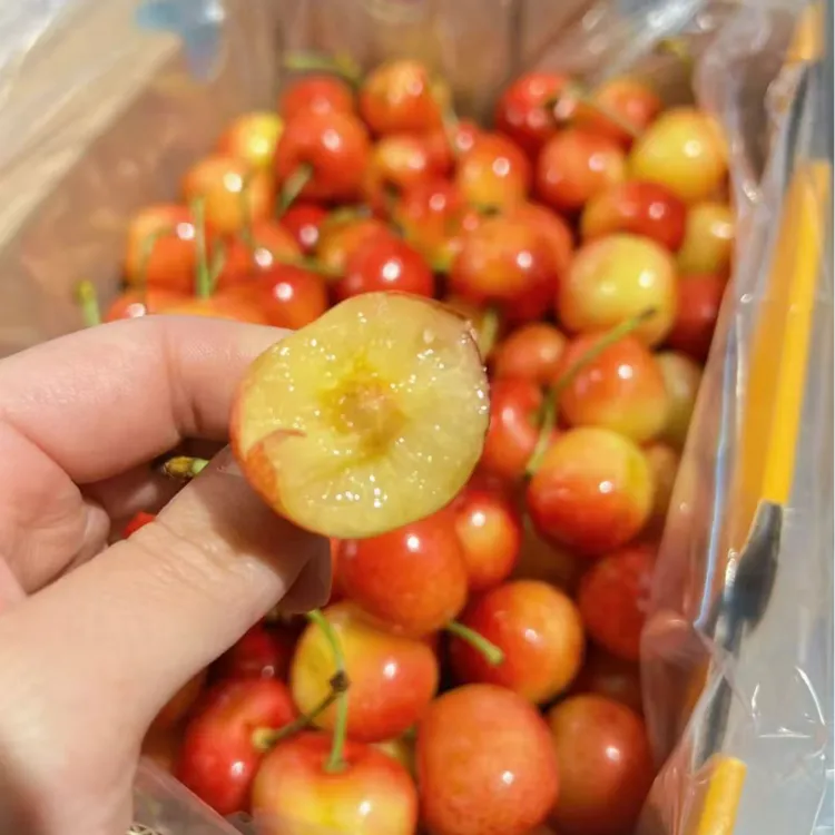 A智利空运雷尼尔 黄金车厘2J-4J/礼盒1-4.4斤装 顺丰/内附果径卡