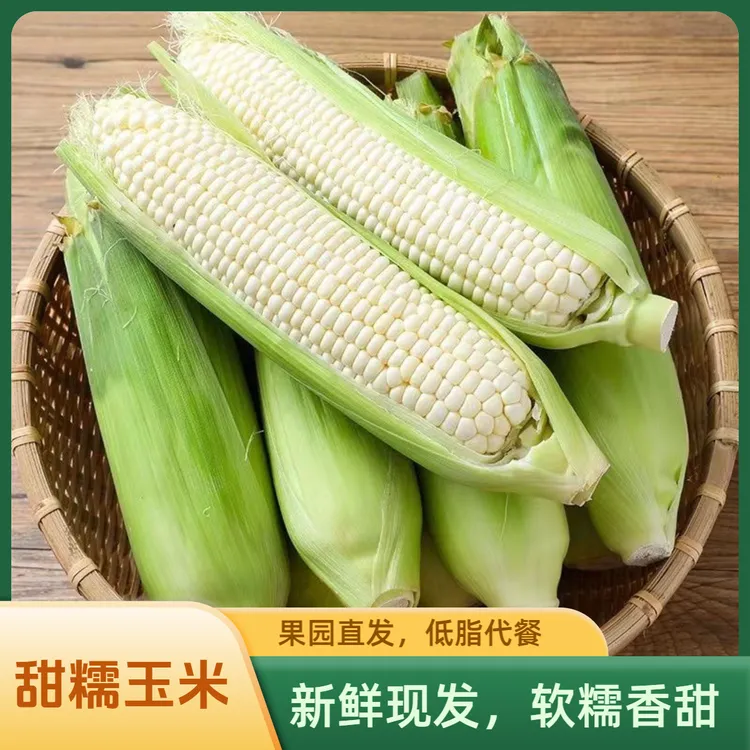 【新鲜发货】甜糯玉米棒小白糯玉米粗粮粘糯低脂代餐颗粒饱满包邮A